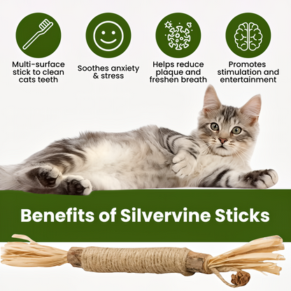 KEESAA Natural Silvervine Dental Sticks