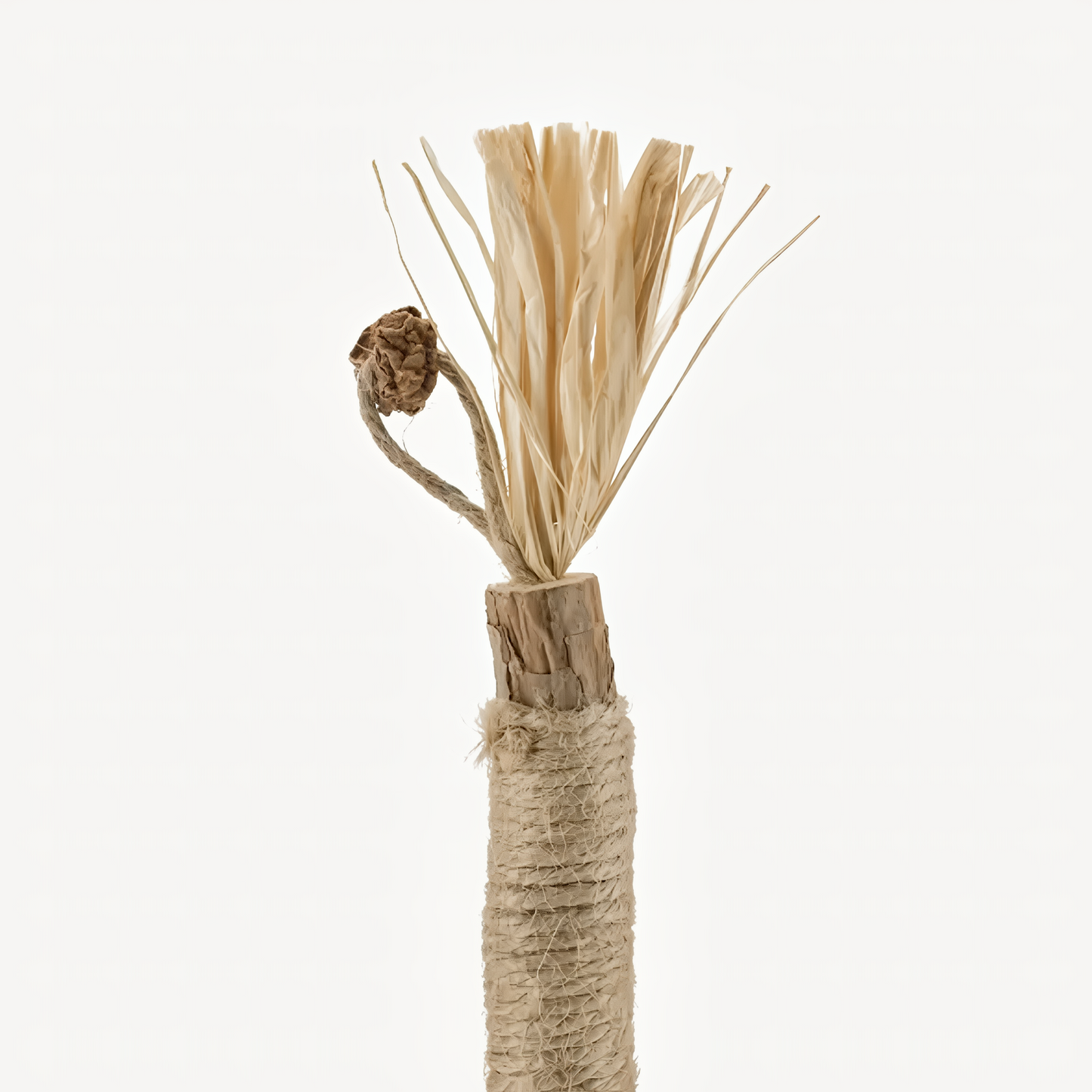 KEESAA Natural Silvervine Dental Sticks