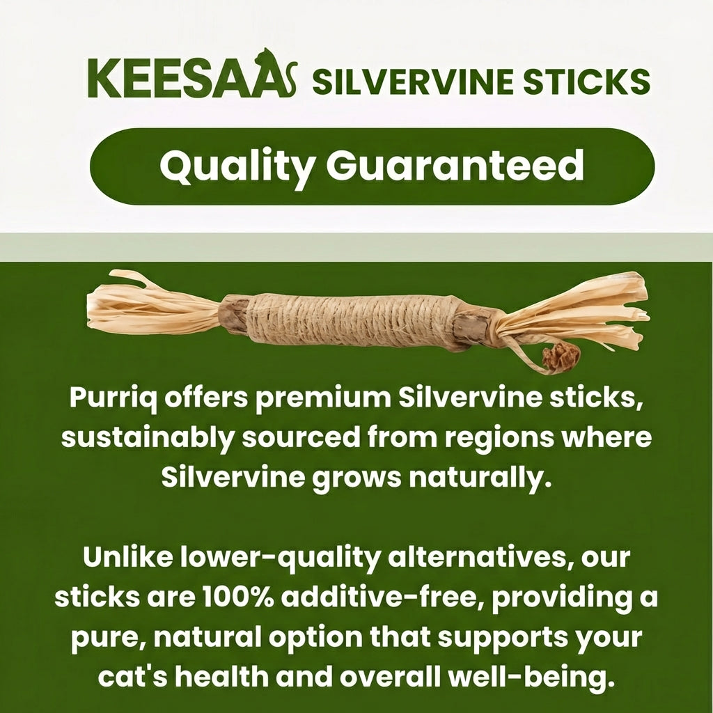 KEESAA Natural Silvervine Dental Sticks