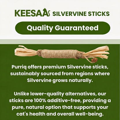 KEESAA Natural Silvervine Dental Sticks